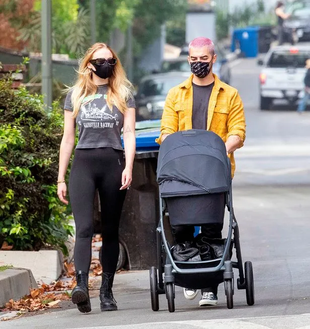 publive-image publive-image