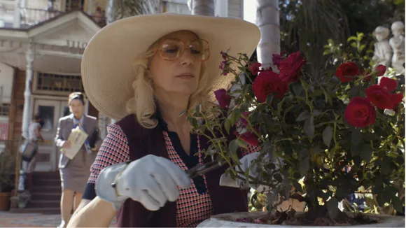 Copy of Untitled Design - 2025-10-10T161833.484