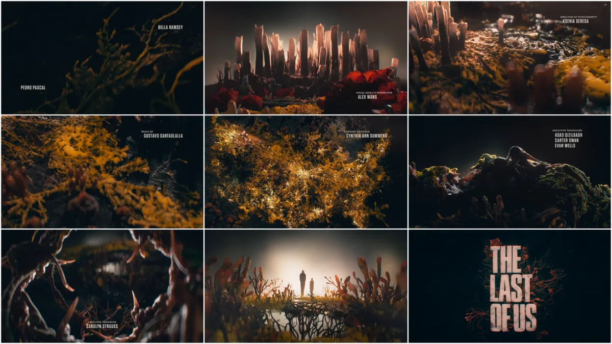 Opening Titles--'The Last of Us'